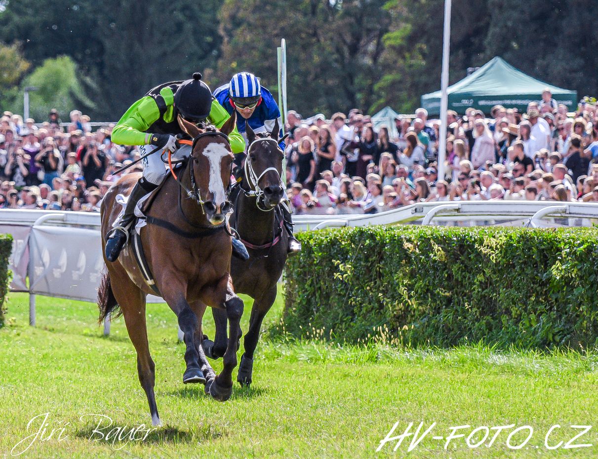 DSC_2671 kopie.jpg